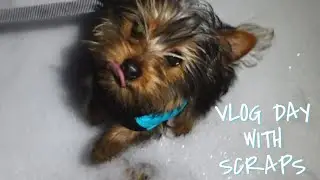 VLOG | Playing With Scraps In The Snow