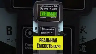 Аккумулятор Bushido 65 Ач корпус L2. Реальные характеристики автомобильного аккумулятора Бушидо 65