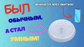 ✅️Как Подключить Обычный Светильник Через Смарт Реле с Алиэкспресс❓️Схема Подключения ❗️Настройка❗️