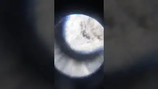 i looked at glue under the mircoscope