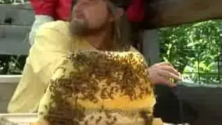 Top Bar Hive Management _Part 2