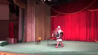 Дрессированный енот. Наталья Корневич
