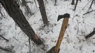 Commercial sable hunting. 2024. Part 6. Yakutia.