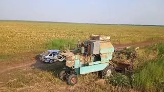 Уборка урожая 2021 год. Такого мы не ожидали.