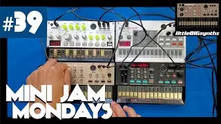 Mini Jam Monday #39 | Korg Volca FM, Keys, Sample, and Bass
