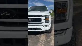 Leveled F150