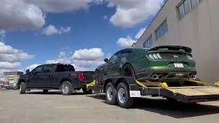 Hauling Mustang Mach1 #automobile #mustang #ford #fordmustang