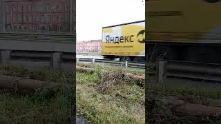 автобус номер 572 маршрут 164