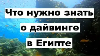 ДАЙВИНГ в ЕГИПТЕ, Шарм-Эль-Шейх, Красное море, подводный мир 2022 год