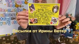 Посылка на День Рождения Честера, от Ирины Ветер!