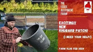 EXCITING NEW RHUBARB PATCH - I need your help!?