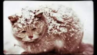 Стих-