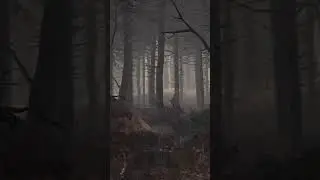 Знакомьтесь- Валет))) #Shorts