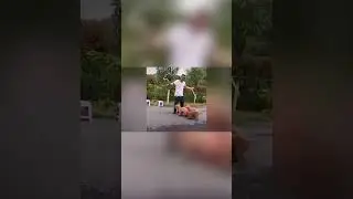 Пудели прыгают через скакалку