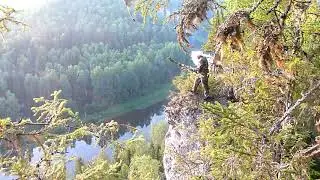 заготовка дров