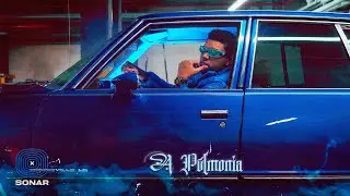 D.OZi - A Pulmonía (Visualizer) | Blue Magic