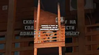 А сколько у вас домашних 🐈🐶тг: молодая бритни
