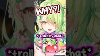 Fauna gets Trolled by Chat and TRUSTS NO ONE #hololiveenglish #hololive #vtuber