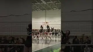 Smack dab on the line | OVA Shorts  #ova #volleyball
