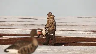 ГУСИ. ОХОТА. ВЕСНА | С Полем!