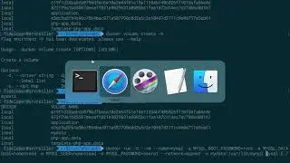 Docker Volumes