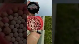Новые румяна-шарики Эйвон Украина Розовое сияние в оттенке 