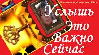 💯What Is About to Happen and What Vivien Needs to Pay Attention To: Clairvoyance💯