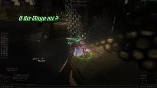 Minark SOLO Archer PK /// Wild Advent ///
