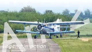 LIVING LEGEND // Antonov An-2 at Merseburg airfield