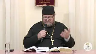 Протоиерей Олег Стеняев -Евангелие от Иоанна глава - 10