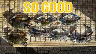 NSW Crabbing.  CATCH COOK CLEAN!