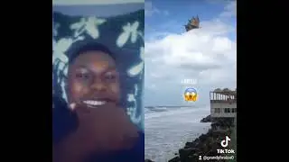 Original UFO 👽 reaction.