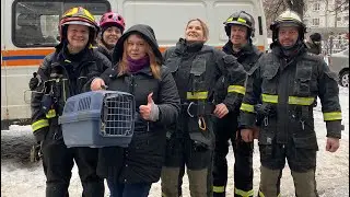 В Москве спасли котенка после 7 дней в стене дома в Зябликово