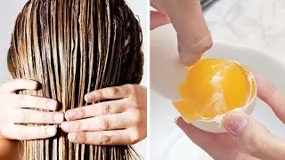 How to Grow Long Thick Hair with just 1 egg | Hair loss treatment