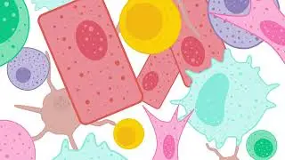 Spatial Transcriptomics
