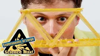 Science Max | PASTA BRIDGE | Experiments