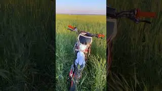 В такие моменты забываются все проблемы и ты просто, СЧАСТЛИВ! #питбайк #природа #рекомендации