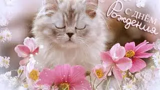 Поздравление с Днем рождения Иришке