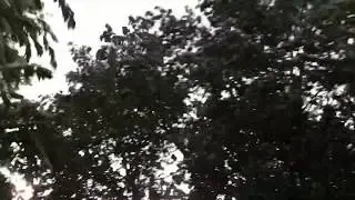 Summer Storm in Delran NJ 2019