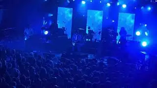 The Whale Song (Modest Mouse live at Brooklyn Steel)