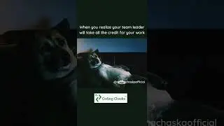 Funny Meme | Programming Meme | Coding Meme Ft Sad Dog