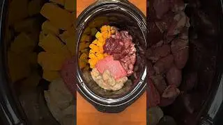 Oyster & Lamb Stew for Dogs! 🦪🐑🥘 #shorts