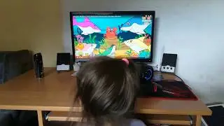 Pesma o ajkuli (Shark song)