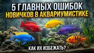 что нужно знать новичку