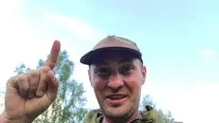Пчёлы. Пчеловодство. Как ведут себя пчёлы во время летнего зноя. 