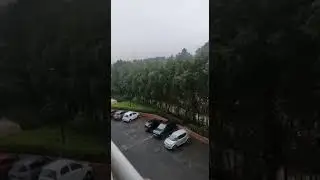 amazing nature..