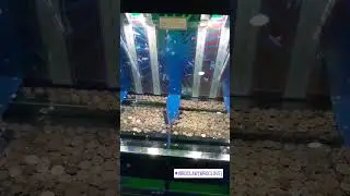 Як швидко заробити бабки?!💵💸