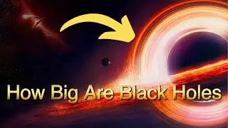 Black Holes