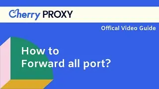 How to forward all port?
