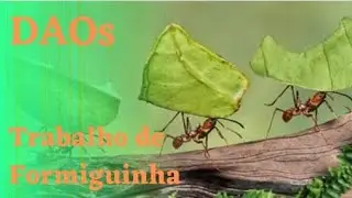 DAOs trabalho de formiguinha